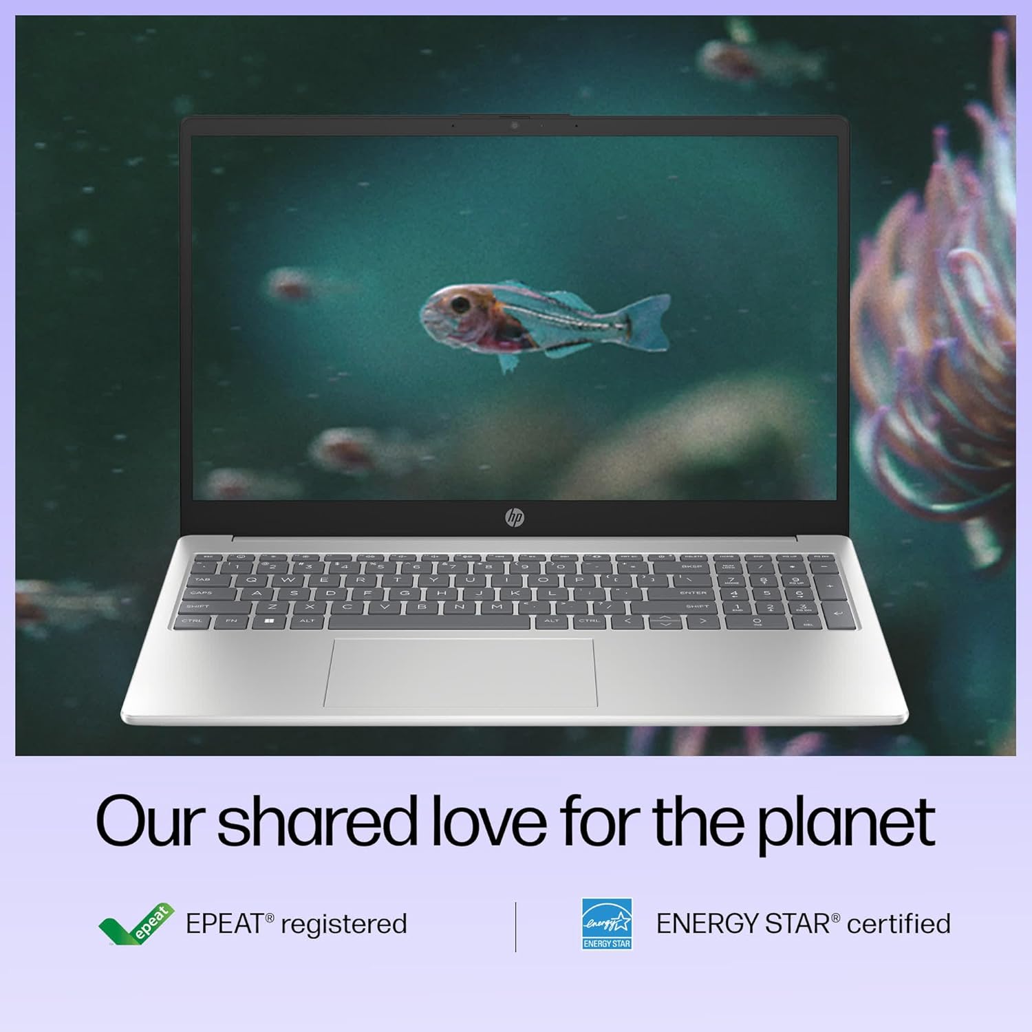 HP 15, 13th Gen Intel Core i3-1315U, 8GB DDR4, 512GB SSD, (Win 11, Office 21, Grey, 1.59kg), Anti-Glare, Micro-Edge,15.6-inch(39.6cm), FHD Laptop, Intel UHD Graphics, 1080p FHD Camera, fd0006TU - Image 4